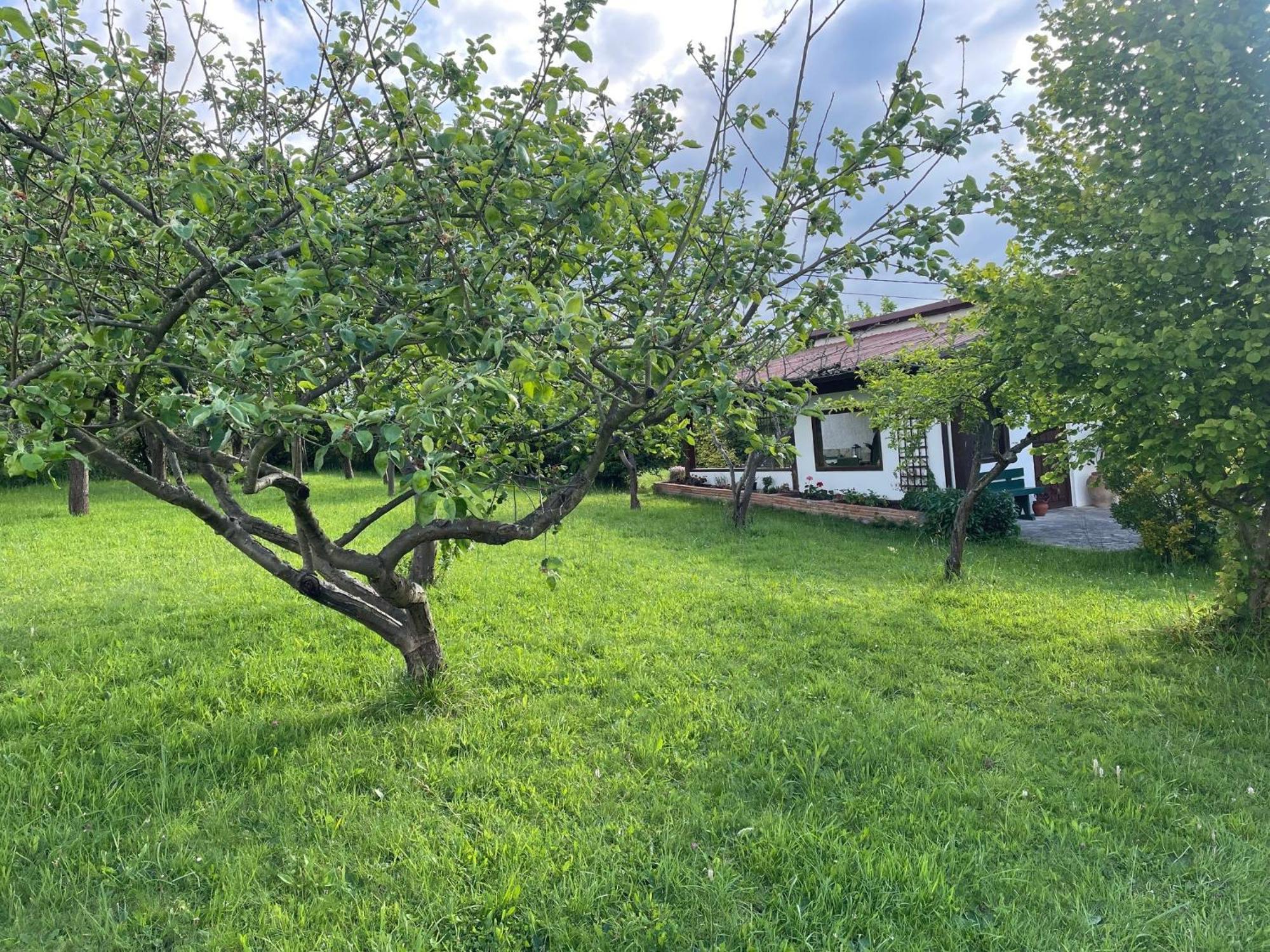 Vila Casa Benjamin Oviedo Exteriér fotografie