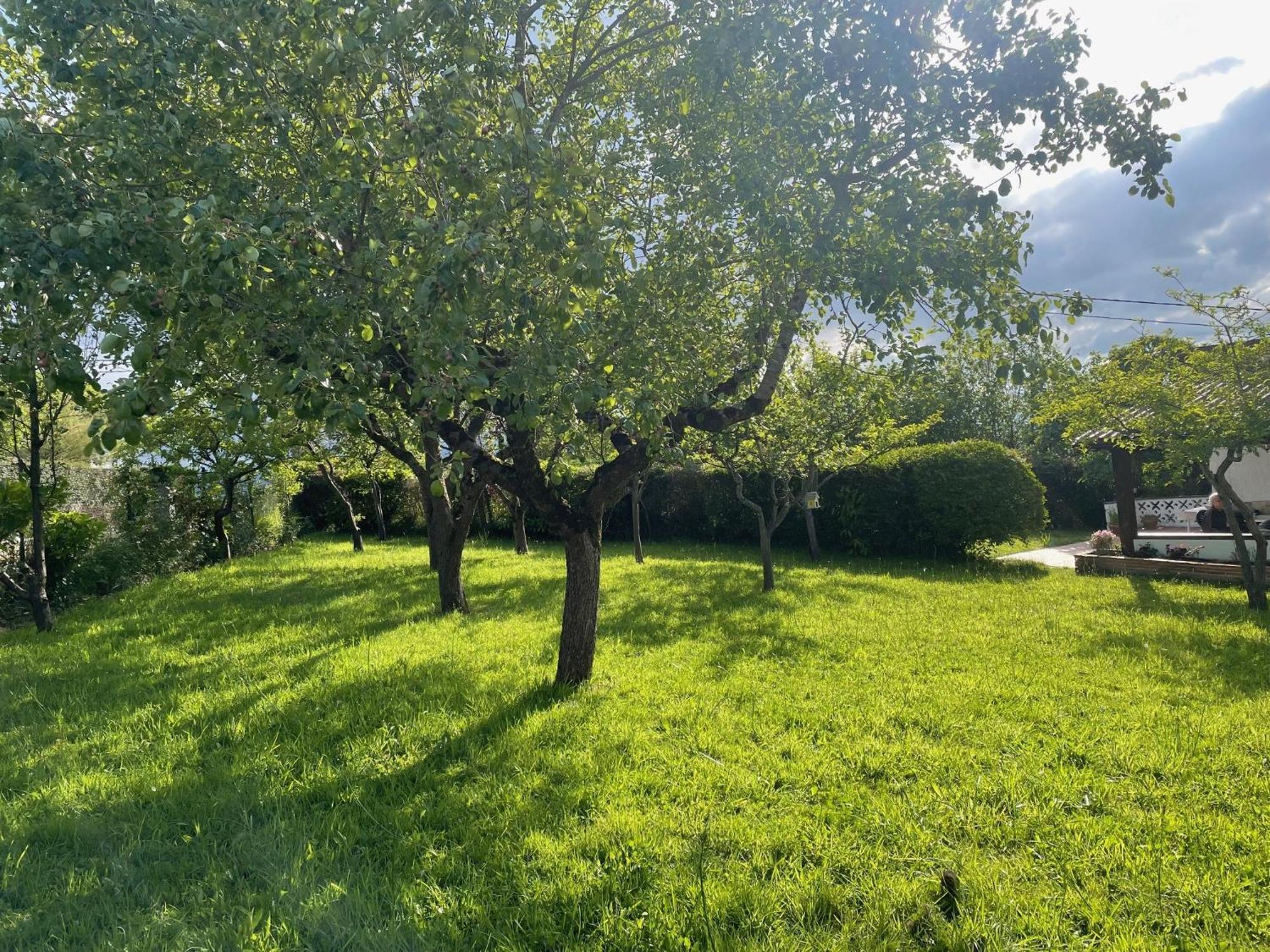 Vila Casa Benjamin Oviedo Exteriér fotografie